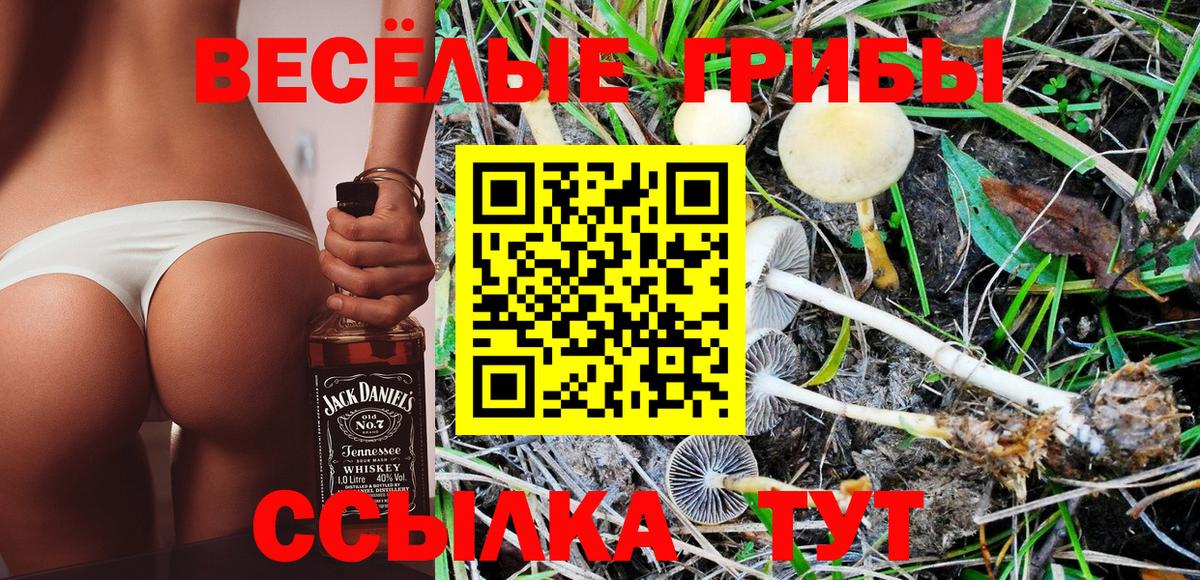 Псилоцибиновые грибы прущие грибы  Псилоцибиновые грибы Cubensis  Сальск  Вход с VPN 